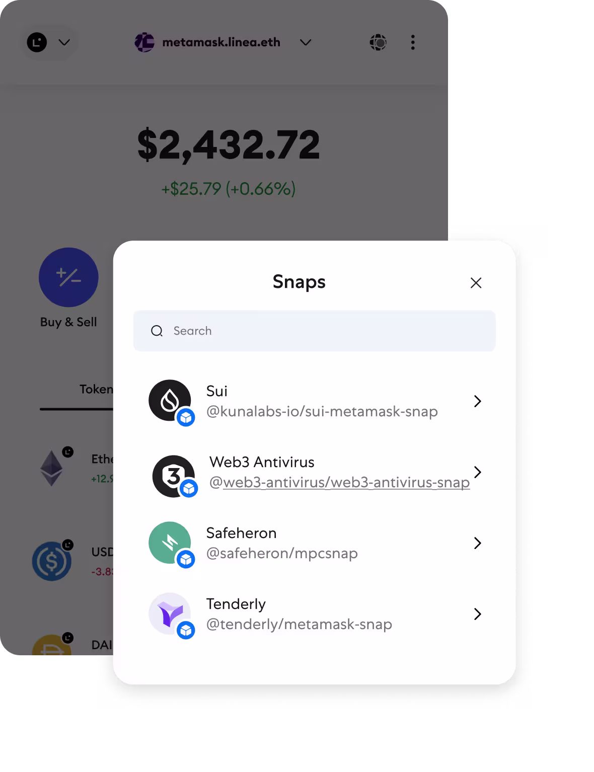 MetaMask Snaps Interface